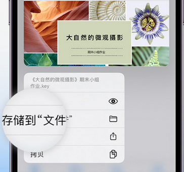 中江apple维修中心分享iPhone文件应用中存储和找到下载文件