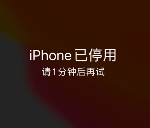 中江苹果手机维修分享:iPhone 显示“不可用”或“已停用”怎么办？还能保留数据吗？ 