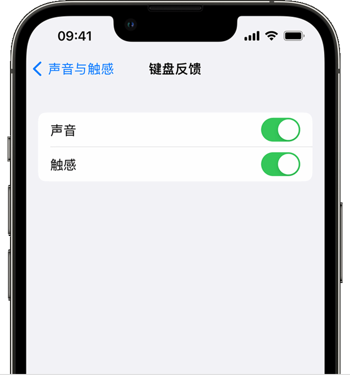 中江苹果14维修店分享如何在 iPhone 14 机型中使用触感键盘 