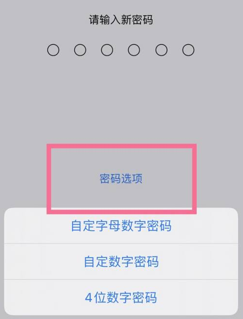 中江苹果14维修分享iPhone 14plus设置密码的方法 