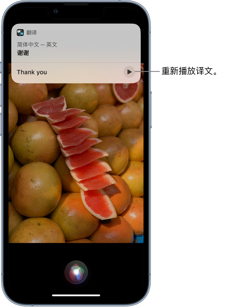 中江苹果14维修分享 iPhone 14 机型中使用 Siri：了解 Siri 能帮你做什么 